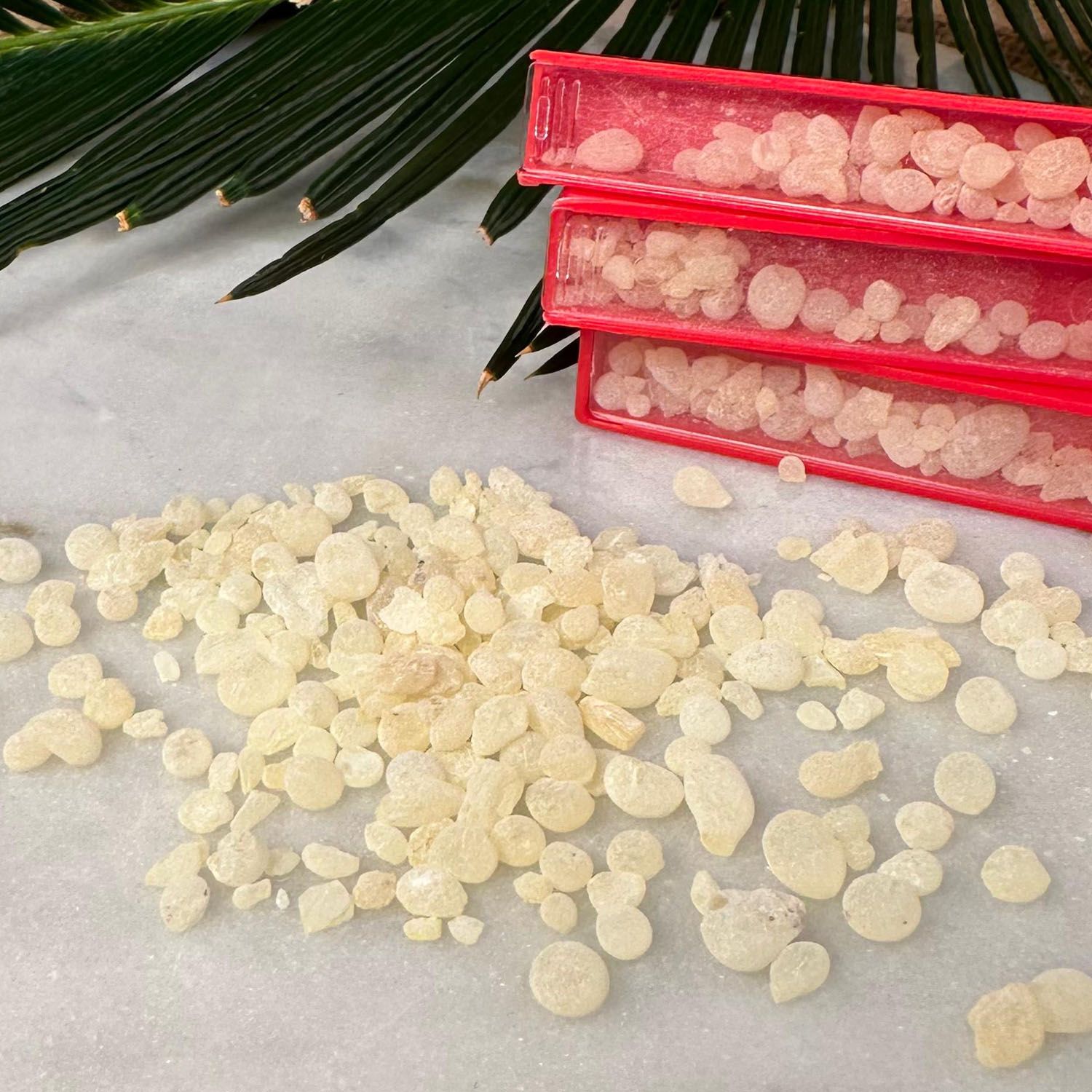 Sakız Adası Damla Sakızı - 1