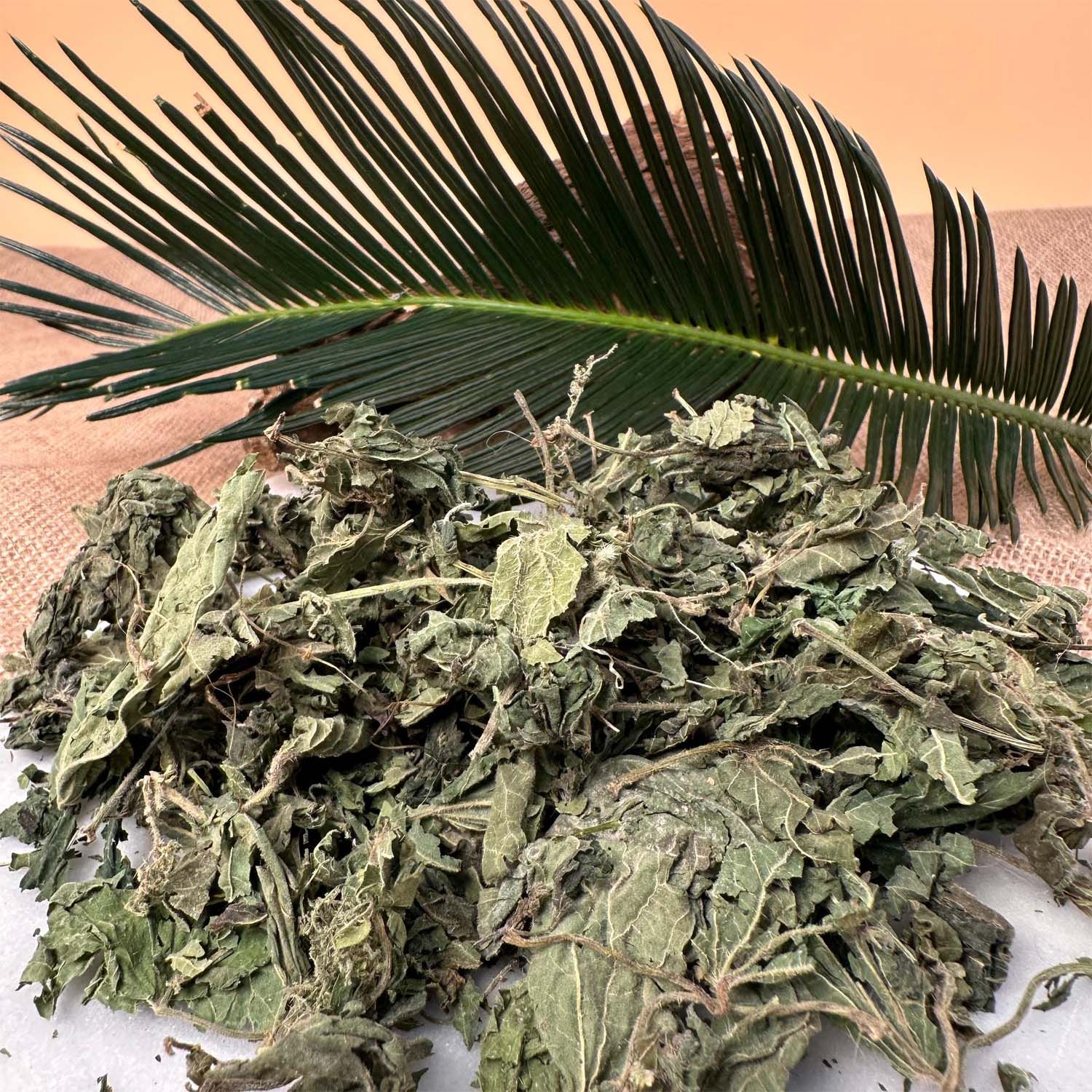 Yabani Isırgan Otu - 1